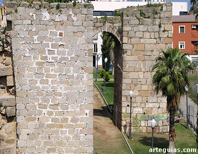 Elevad&iacute;simas torres de la alcazaba