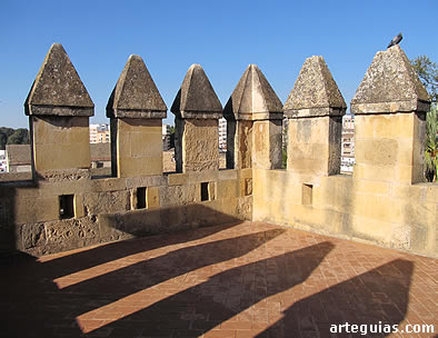 Terraza de la Torre de los Leones