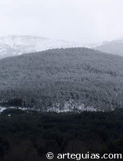 El c&aacute;racter monta&ntilde;oso de la Sierra de Neila  fue su mejor garant&iacute;a de seguridad