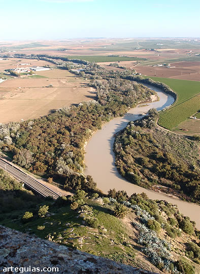 Meandros del r&iacute;o Guadalquivir desde la torre del homenaje del Castillo de Almod&oacute;var del R&iacute;o