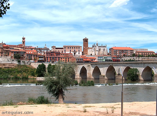 Vista de Tordesillas desde el r&iacute;o Duero