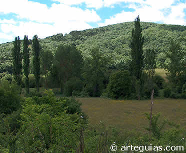 Paisaje del Valle de Manzanedo, Burgos