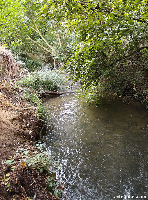 Arroyo que fluye junto a las ruinas del antiguo Monasterio de Nogal de las Huertas
