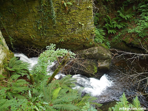 Caudaloso arroyo que fluye al norte de la iglesia de San Antol&iacute;n de Toques