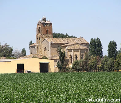 Monasterio de Santa Cruz de la Zarza (Ribas de Campos, Palencia)