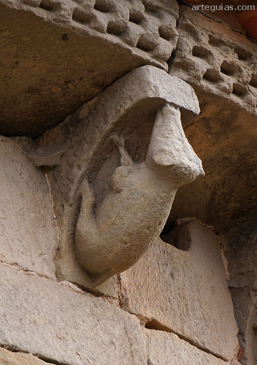 Cerdo o jabal&iacute;