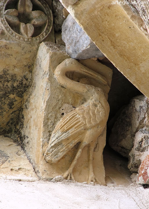 Cig&uacute;e&ntilde;a o ave zancuda