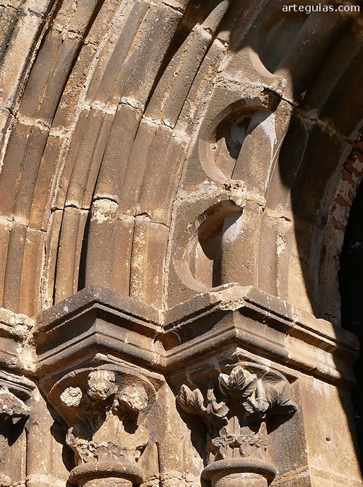 Arquivolta polilobulada