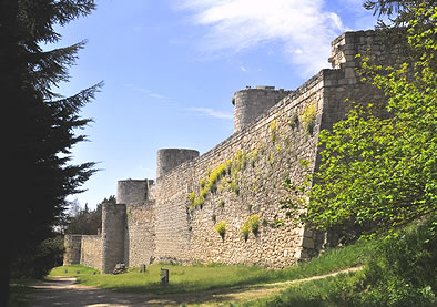 Castillo de Burgos