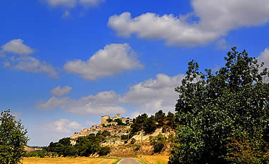 Castell de Verg&oacute;s