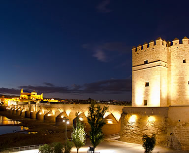 Puente Viejo o Romano, que une  La Calahorra y el barrio de la Mezquita