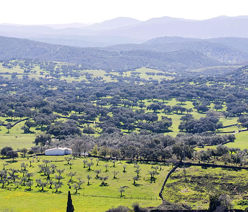 Paisaje de la Sierra de Aracena