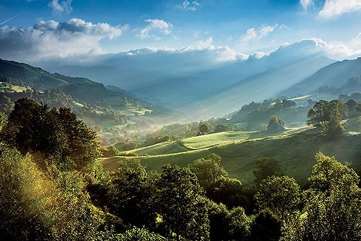 Auvernia