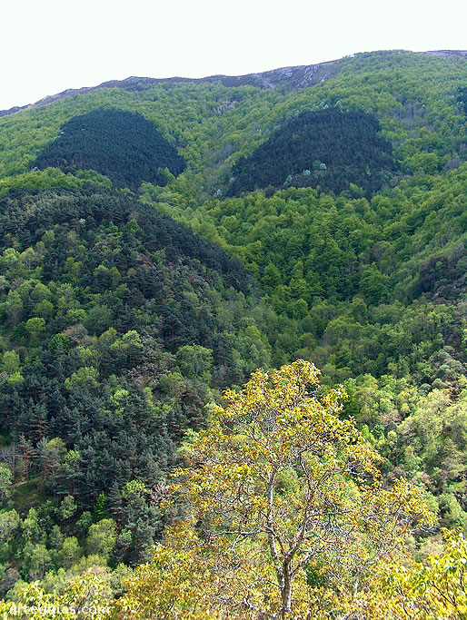 Espectacular paisaje de la Sierra de la Demanda